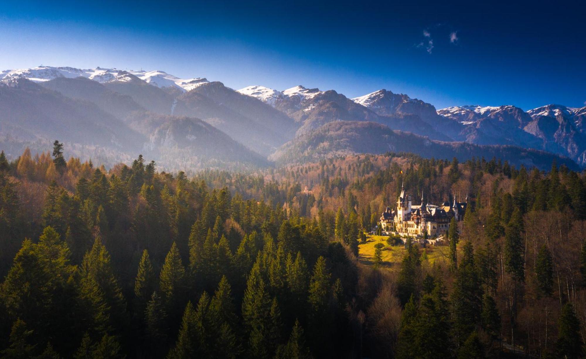 The Cozy Deer Apartment Sinaia Eksteriør bilde